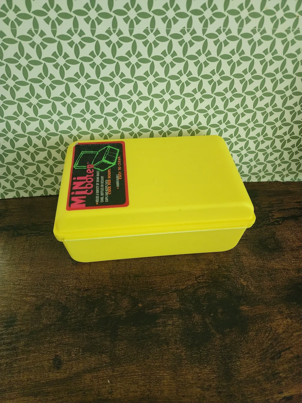 1993 Mini Plastic Cooler